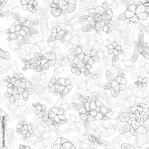 Vintage pattern with flowers on background. Wallpaper with flower texture. Black lines on white background