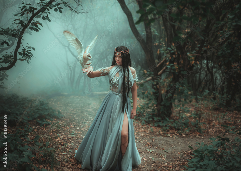 Naklejka premium Tajemnicza czarodziejka w pięknej niebieskiej sukience. Tło jest zimnym lasem we mgle. Dziewczyna z białą sową. Fotografia artystyczna