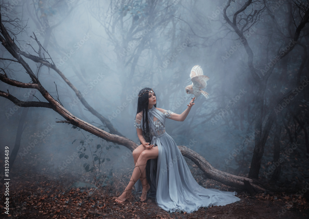 Fototapeta premium Tajemnicza czarodziejka w pięknej niebieskiej sukience. Tło jest zimnym lasem we mgle. Dziewczyna z białą sową. Fotografia artystyczna