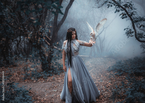 Mysterious sorceress in a beautiful blue dress. The background is a cold forest in the fog. Girl with a white owl. Artistic Photography