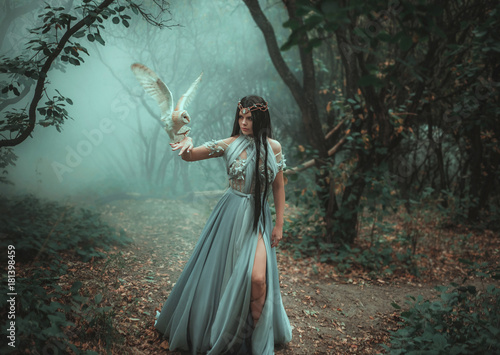 Dekoracja na wymiar  mysterious-sorceress-in-a-beautiful-blue-dress-the-background-is-a-cold-forest-in-the-fog-girl-with-a-white-owl-artistic-photography