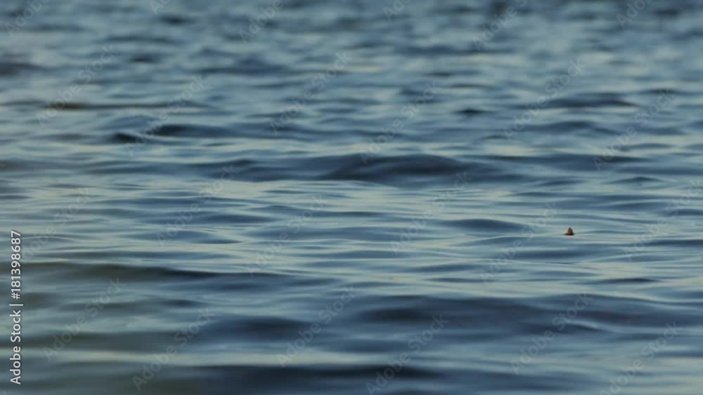 close up of waving water surface of lake, low angle shot. close up of waving water surface of lake, low angle shot.