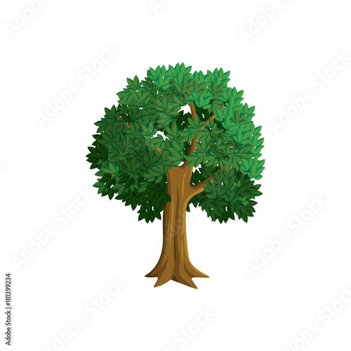 Vector illustration of a tree, made in a realistic style, isolated on white background