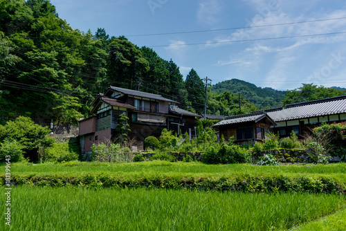 Tsumago Magone Trail Japan photo