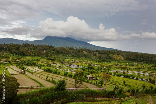 Rice terraces on Bali island, Indonesia
