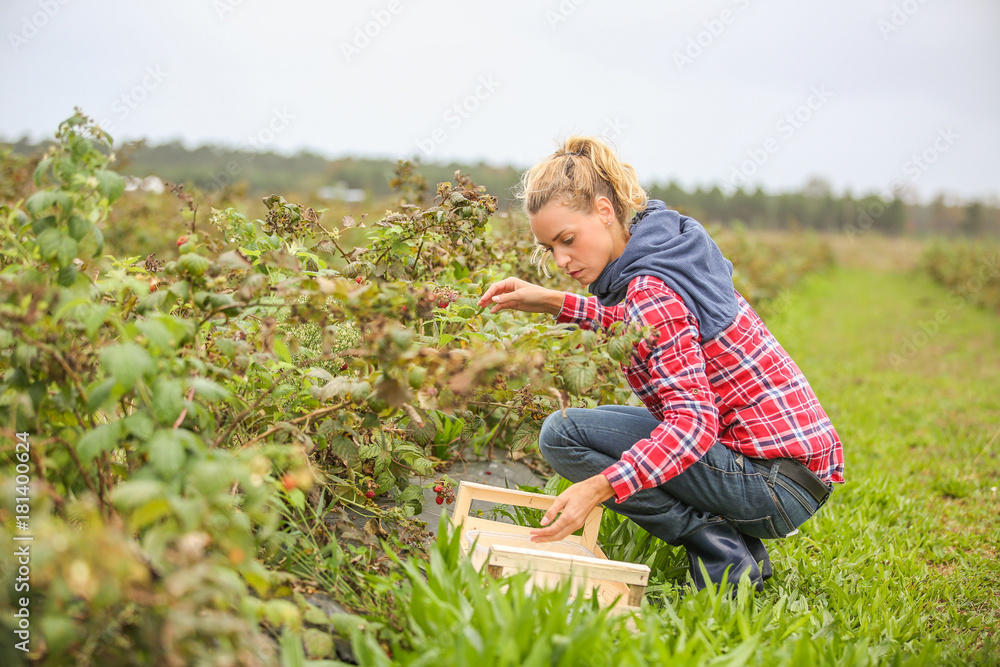 small farm concept small farm concept