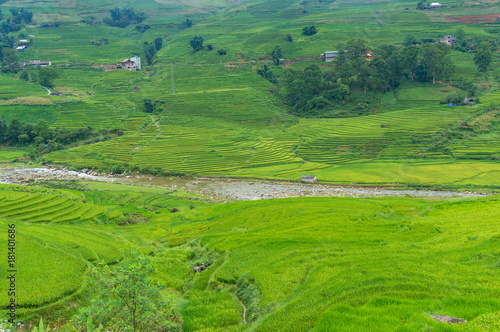 Summer nature background of rice terraces and village