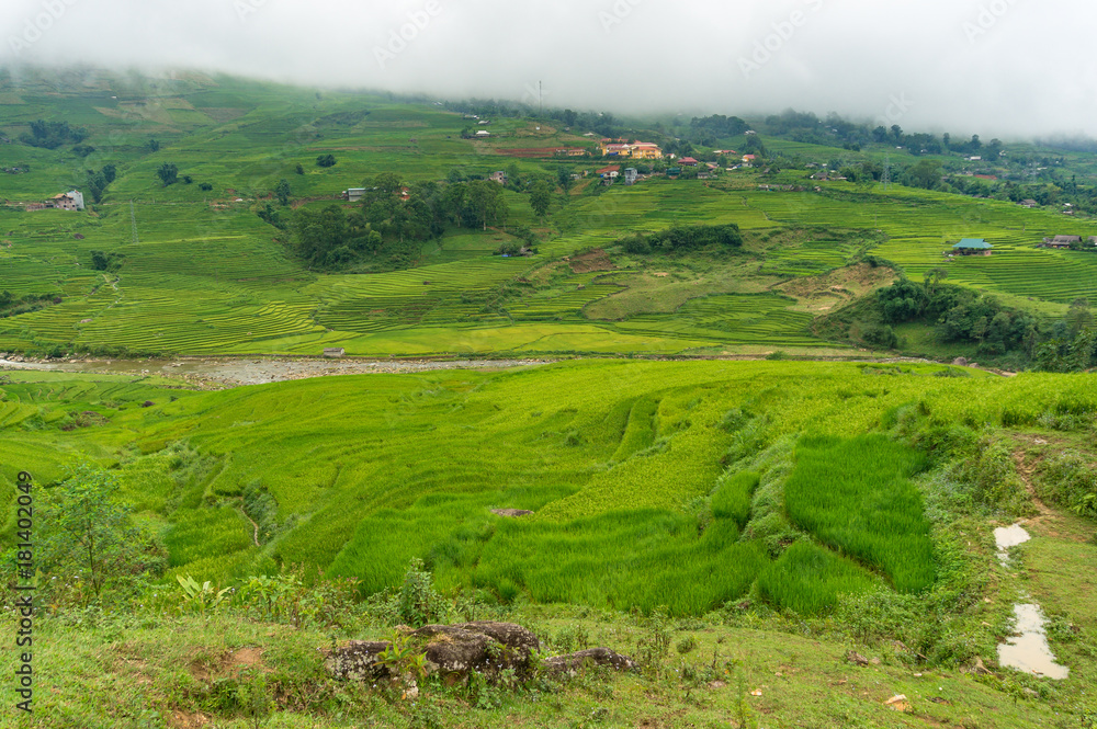 Obraz premium Summer nature background of rice terraces and village