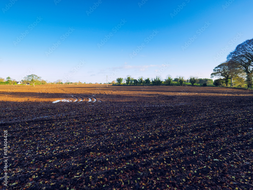 Autumn countryside morning,Northern Ireland Autumn countryside morning,Northern Ireland