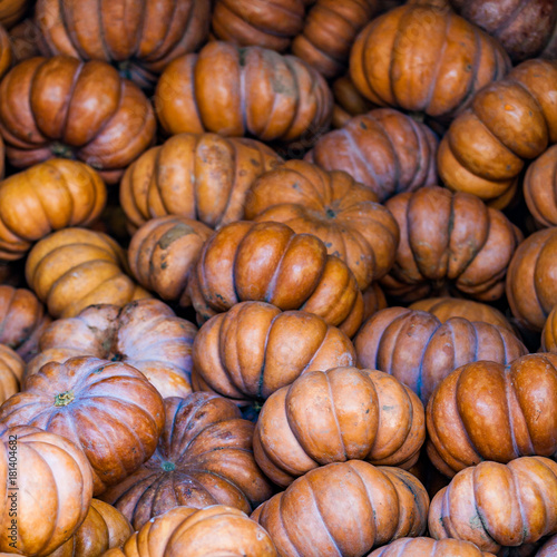 Autumn pumpkins for sale © EwaStudio