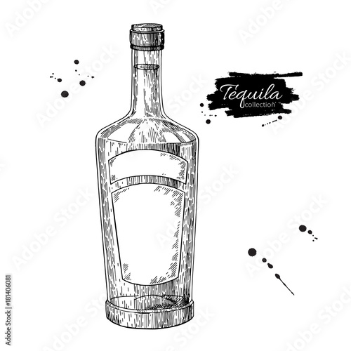 Tequila bottle drawing. Vodka, cocktail, alcohol drink vector il