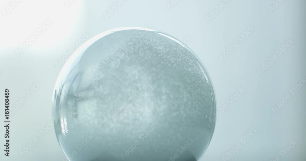 snow globe snow globe