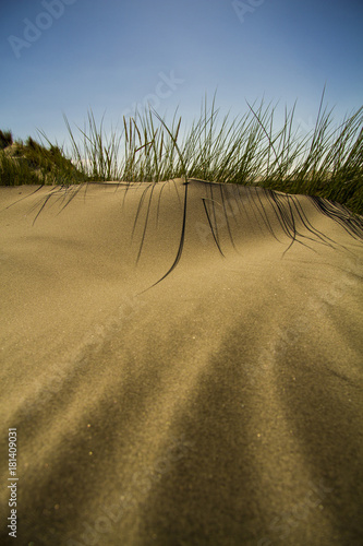sand grass