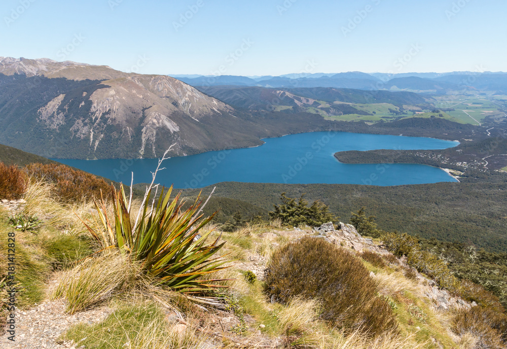lake Rotoiti, South Island, New Zealand