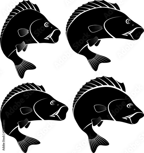 silhouette of perch fish