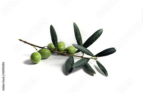 Olive Branch with olives and leaves
