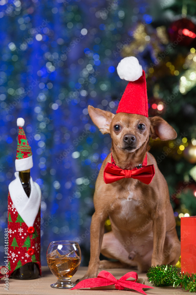 a yellow dog on wooden boards with a red hat and a red bow waiting for Christmas, on the background of a bokeh with a decorated Christmas tree