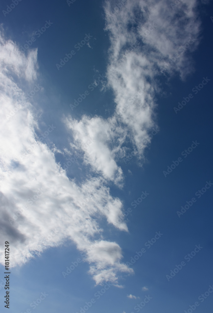 Fototapeta premium 青空と雲「空想・雲のモンスターたち」（急降下、下方に向かう、降下する、何かを見つけて拾うなどのイメージ）