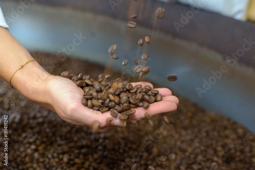 coffee beans in female hands