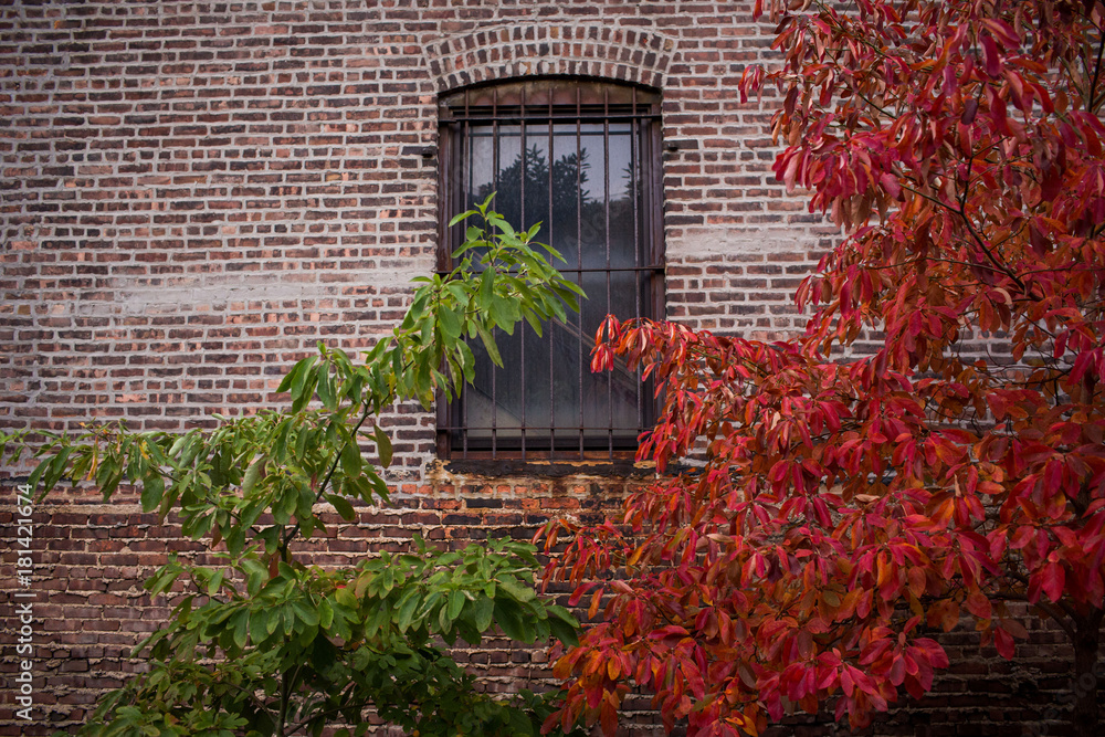 Brick Window green and red tree wall Brick Window green and red tree wall
