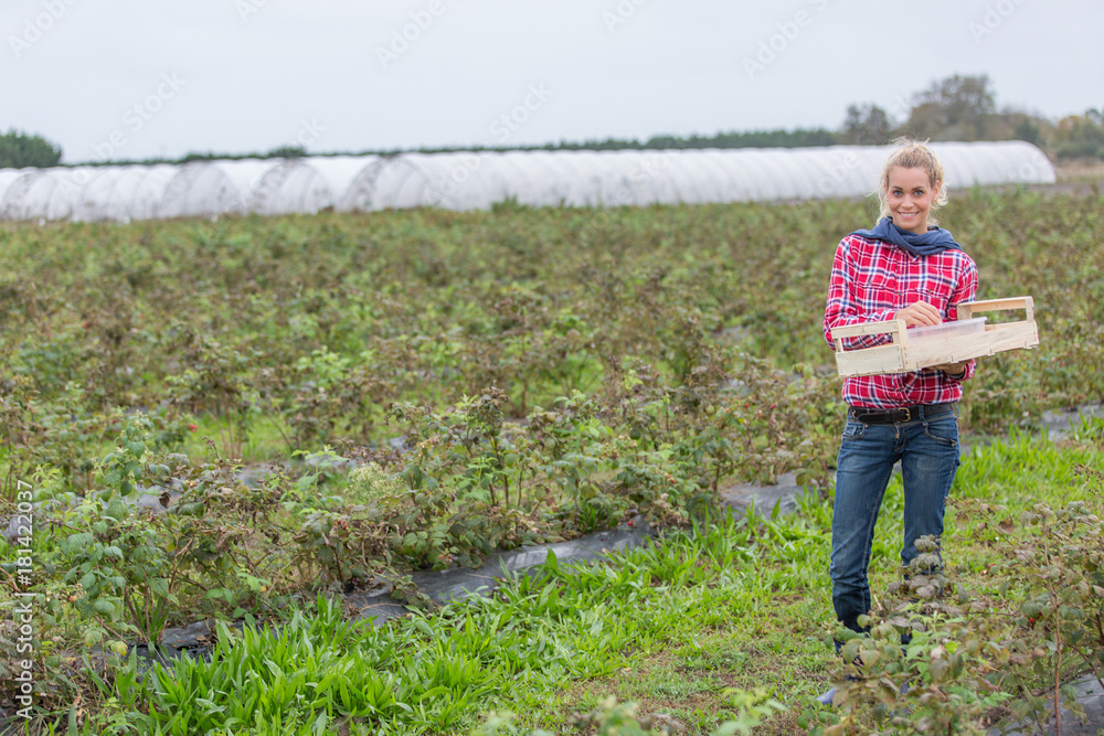 Fototapeta premium small farm concept