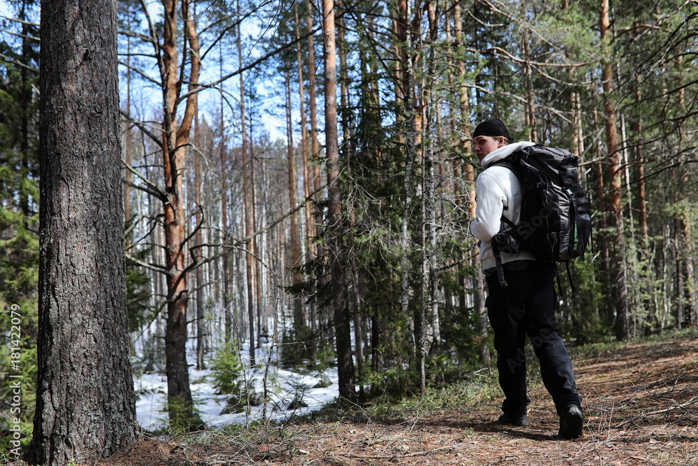 A man is a tourist in a pine forest with a backpack. A hiking tr