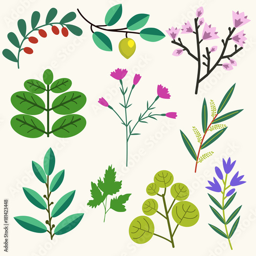 Vector plants set