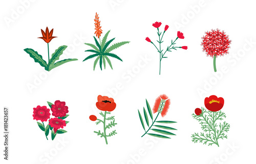 Set of red flowers