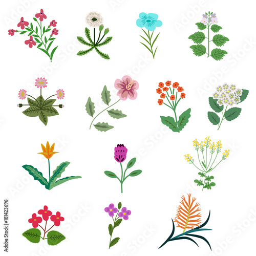 Set of decorative flowers