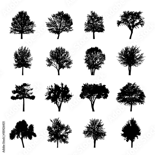Black tree silhouettes Nature Forest Vector Illustration