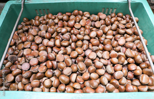 Fresh chesnut in a plastic container at Yaowarat, Bangkok, Thailand