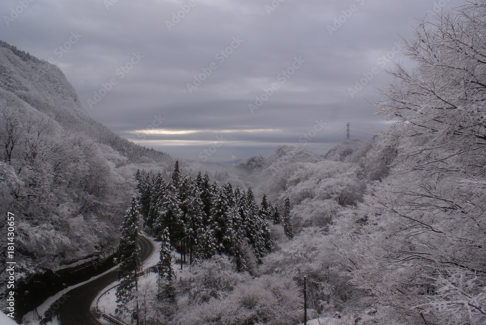 Fototapeta premium 雪国の朝