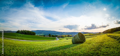 bale of hay in summer day photo