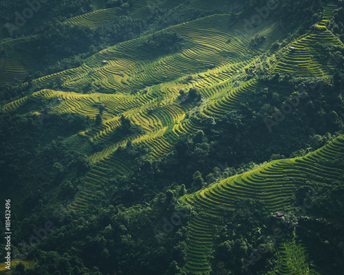 Photos Trademark Vietnam