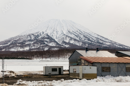 Mount Yotei with snow and snow covered on the ground with house and leafless trees in winter in Hokkaido, Japan. photo