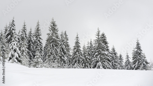 Beautiful winter landscape © byrdyak