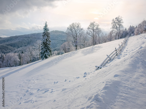 Winter landscape of the Carpathian Mountains
