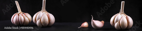 header panorama garlic head
