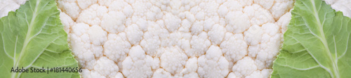 panorama  banner fresh cauliflower