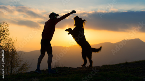 Big dog he gets up on two paws to take a biscuit from a man silhouette with background at colorful sunset mountains