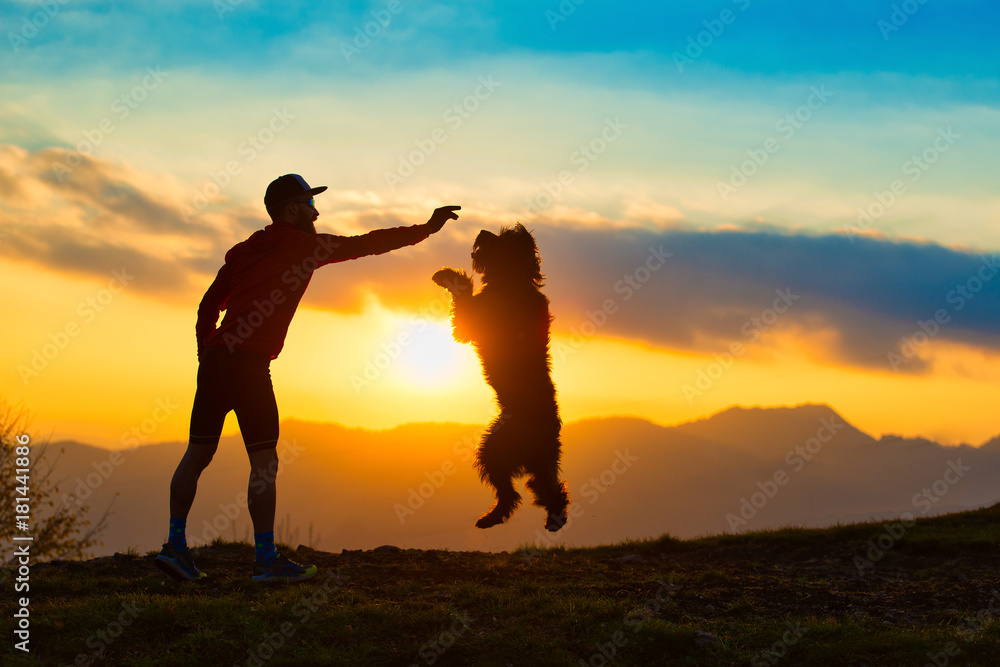 Big dog jumping to take a biscuit from a man silhouette with background at colorful sunset mountains