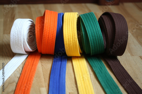 Martial Arts Colorful Karate Belt photo