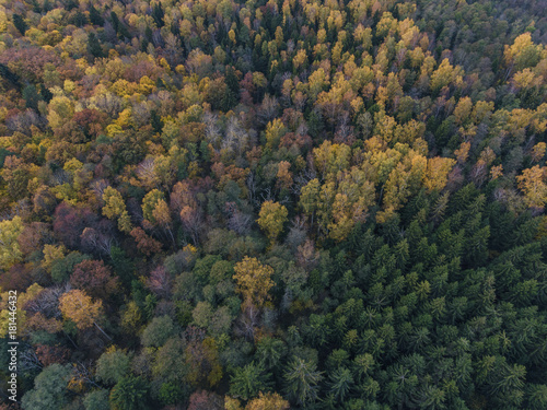 Aerial view over Autumn season woods in Lithuania rural village. photo