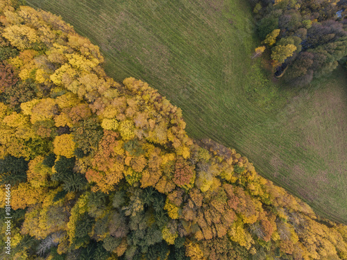 Aerial view over Autumn season woods in Lithuania rural village. photo