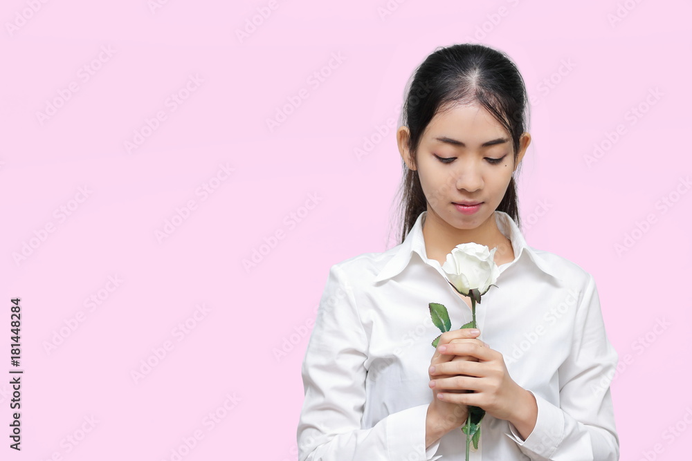 Portrait of attractive young Asian woman holding white rose on pink isolated background. Valentines day concept. Portrait of attractive young Asian woman holding white rose on pink isolated background. Valentines day concept.
