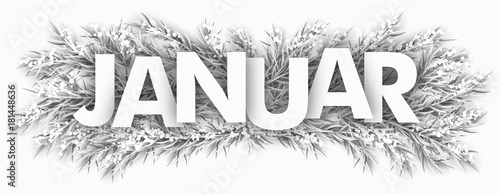 Monat Januar eingeschneite Tannenzweige