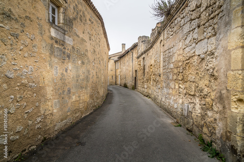 Fototapeta Naklejka Na Ścianę i Meble -  ancient street made of stone named Rue de la Port Saint-Martin, in Saint-Emilion, France