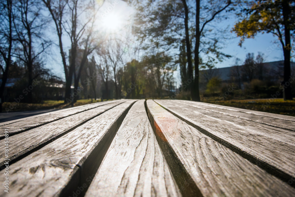 Fototapeta premium Park wooden bench
