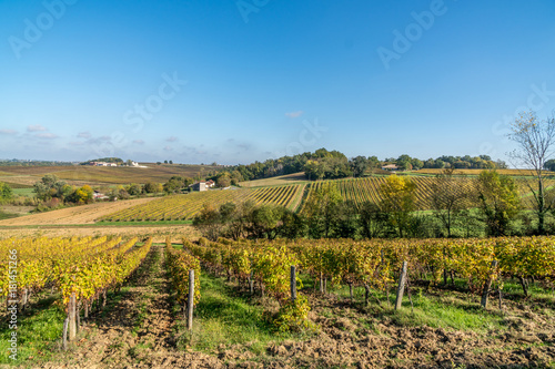 Photos Autumn sunset on vineyards around Saint-Emilion with hills grapes and trees in M