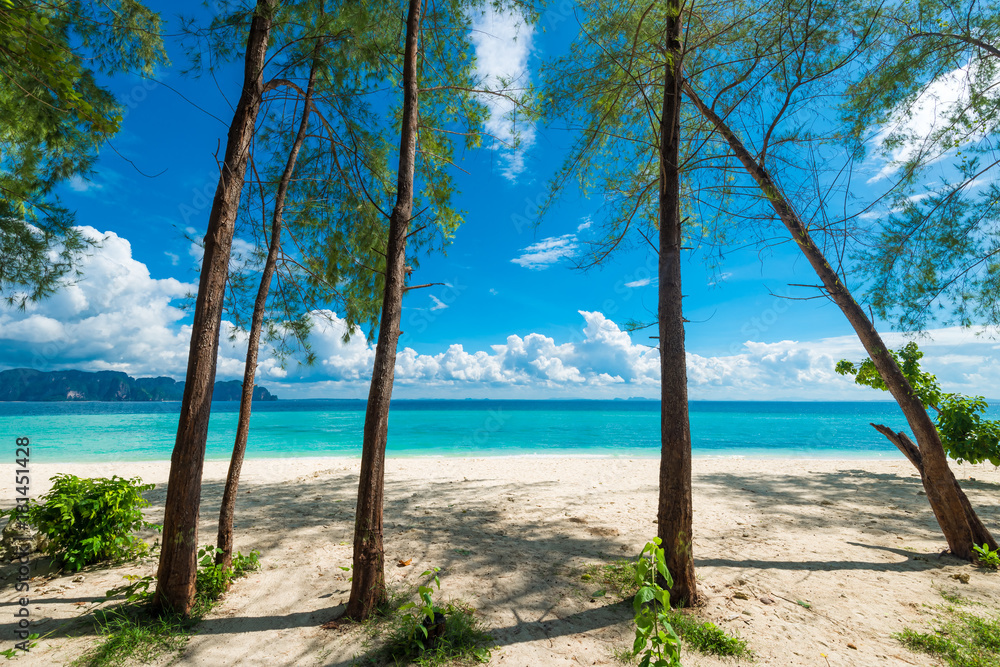 tropical trees on the sandy shore of the island and a view of the Andaman Sea, Thailand
